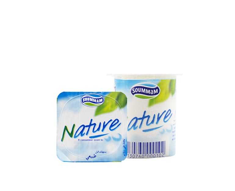 Soummam yaourt Nature 100g